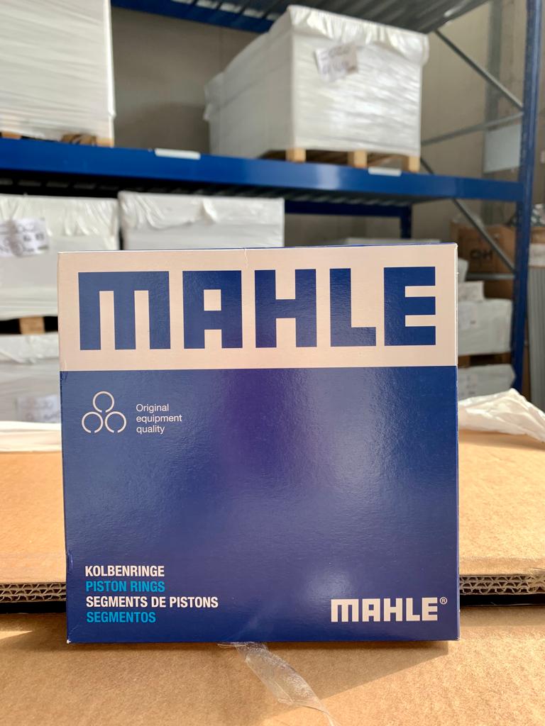 All mahle products available at ECS