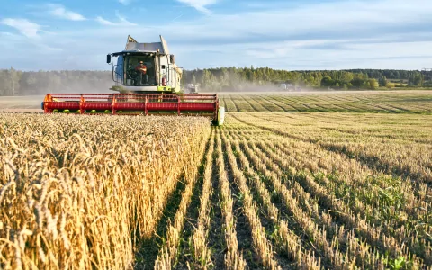 agriculture